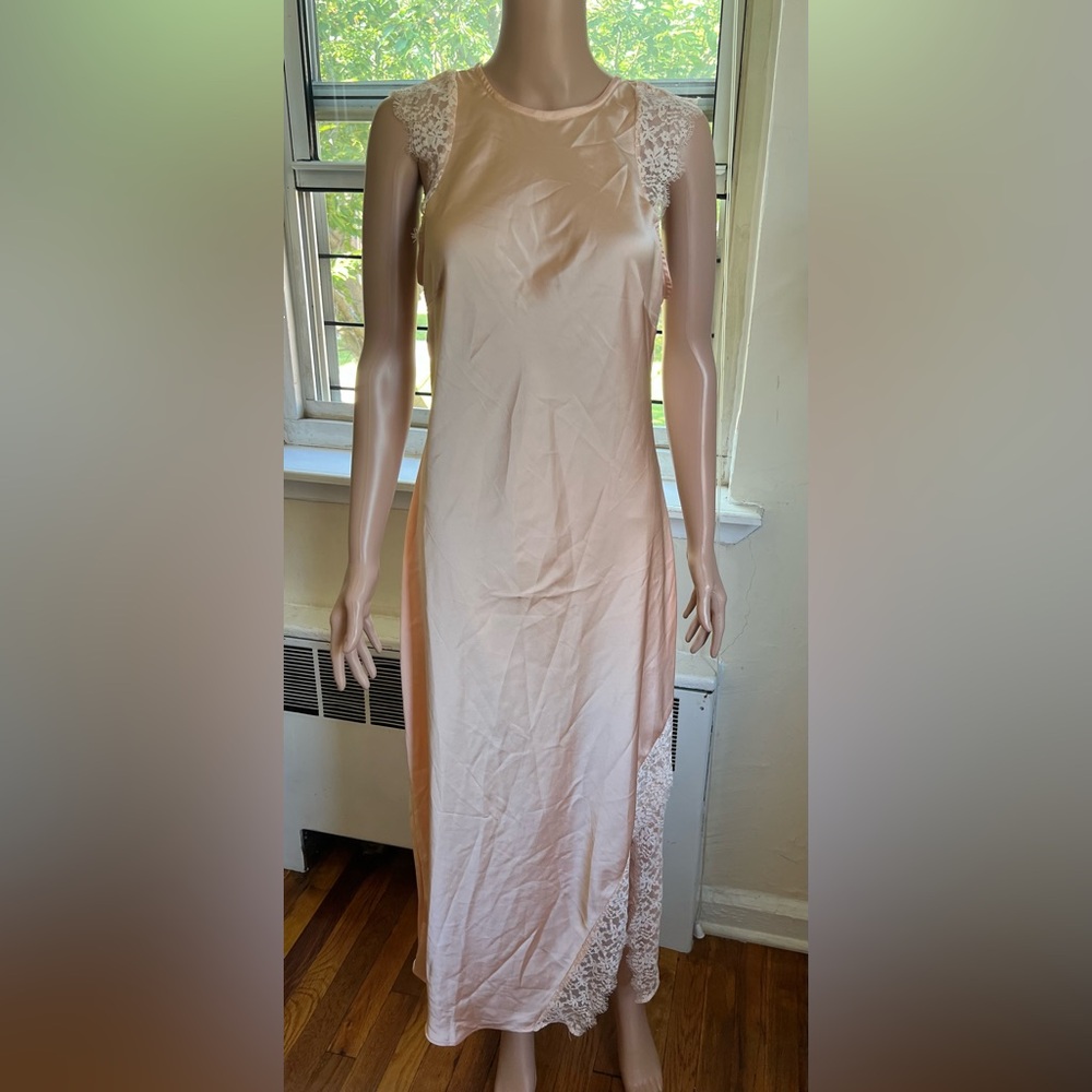 Stylish Lace Sleeve Blush Dress